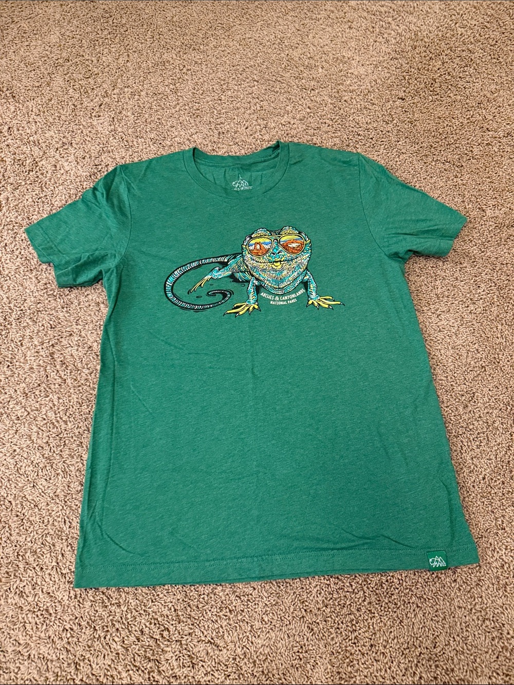 Green Graphic Short Sleeve Tee with Chameleon Design